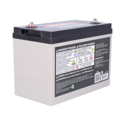 Duracell Ultra 6V 200AH AGM Sealed Lead Acid Battery M6 Terminals